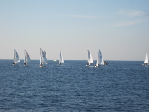 IMG_3060.JPG